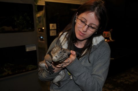 Kat has experience working with Domestic and Exotic Pets